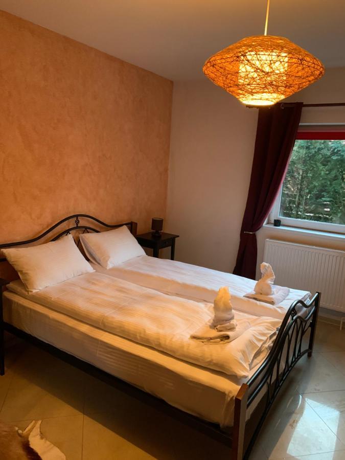 ホテル Dorf Haus Văliug エクステリア 写真