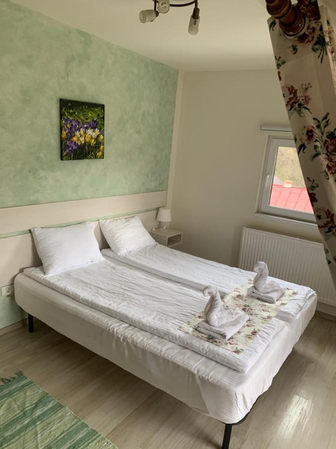 ホテル Dorf Haus Văliug エクステリア 写真