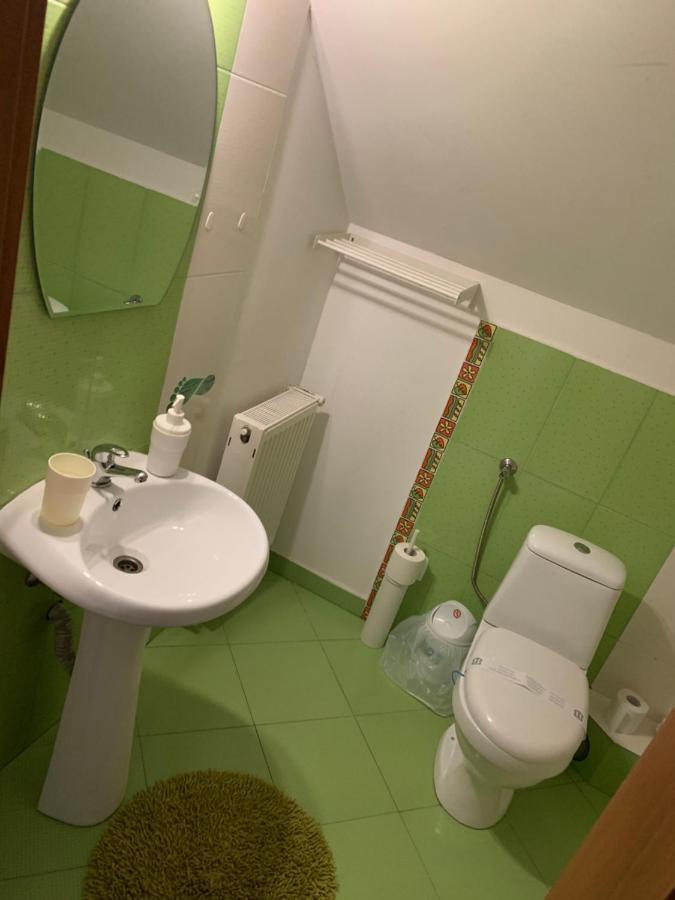 ホテル Dorf Haus Văliug エクステリア 写真