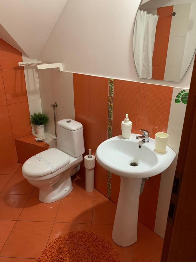 ホテル Dorf Haus Văliug エクステリア 写真